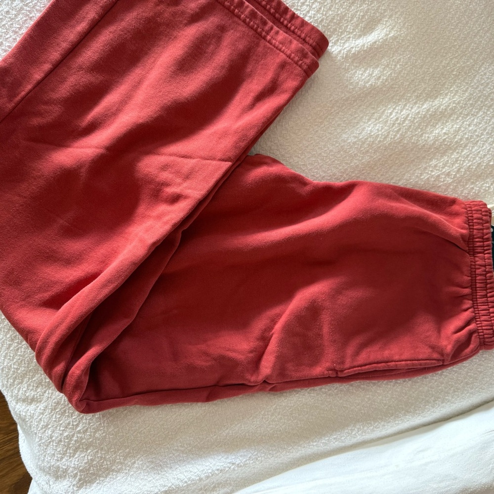 BNWT Brandy Melville Brick Red Sweatpants